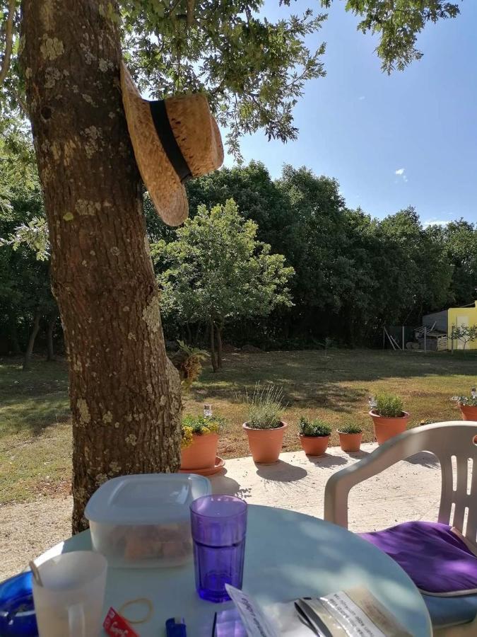 Villa Tiny House Dora à Marčana Extérieur photo